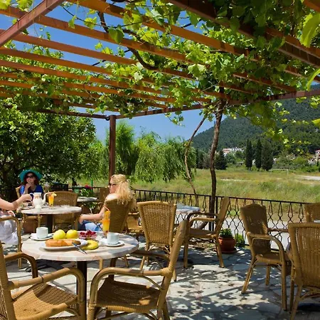 Hovolo